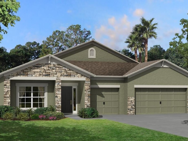 4969 Eagle Rock Drive - Florida - Tampa - 33598