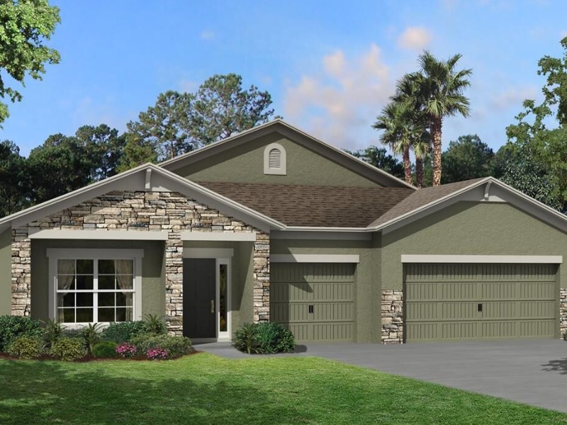 4969 Eagle Rock Drive - Florida - Tampa - 33598