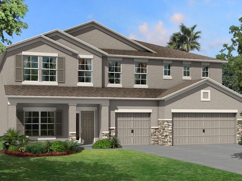 4969 Eagle Rock Drive - Florida - Tampa - 33598