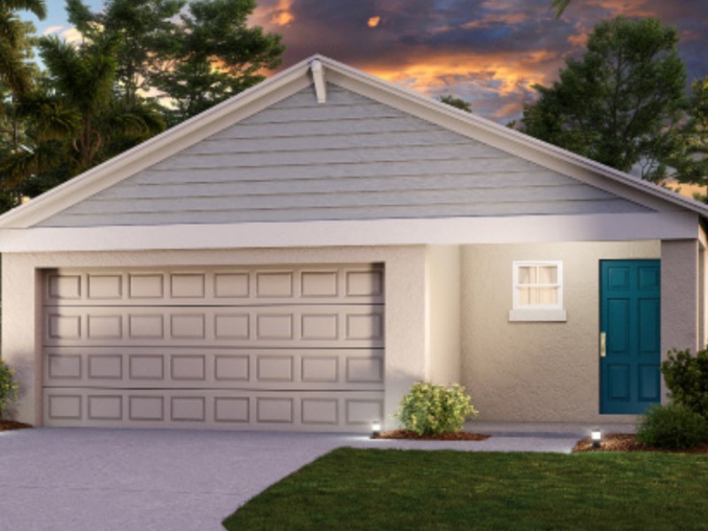 34462 Moonflower Ave - Florida - Wesley Chapel - 33545